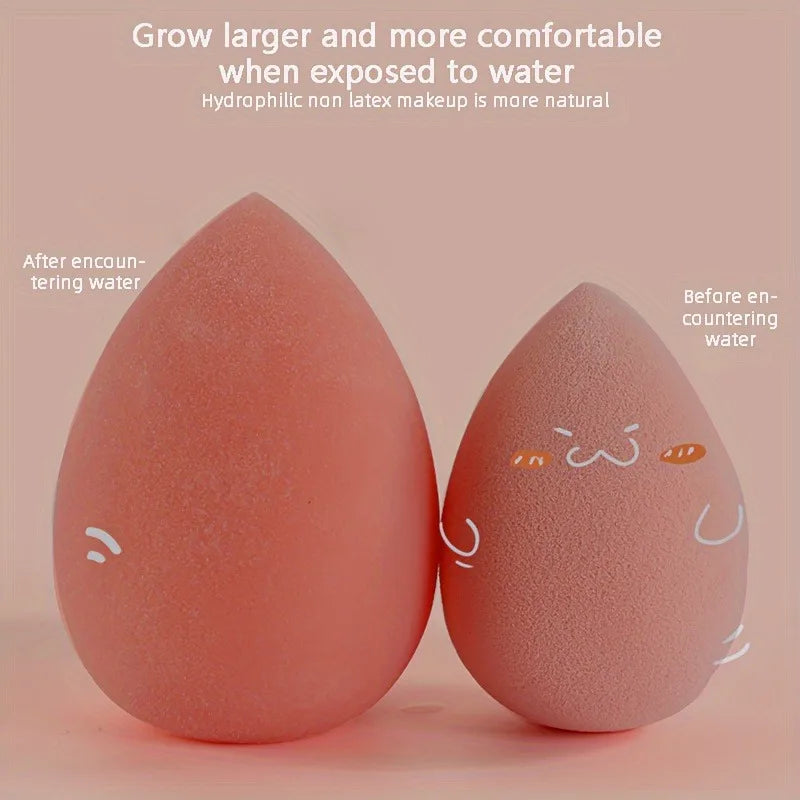 4PCS Makeup Sponge Set, Mushroom Head Beauty Puffs for Foundation & Powder, Dry & Wet Use