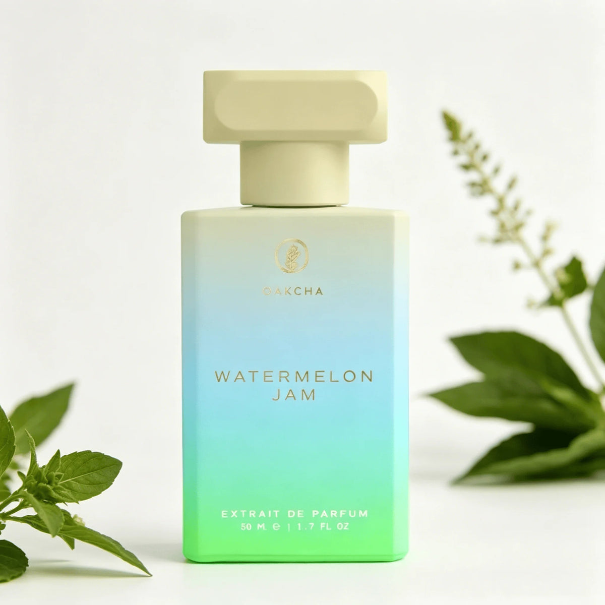 Oakcha Watermelon Jam Extrait de Parfum 50ML Long Lasting Juicy Fresh Watermelon Fruity Sweet Fragrance Unisex Perfume Gradient White Blue Green Square Bottle Cool Summer Scent Holiday Gift for Him and Her